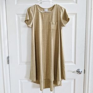 COPY - Lularoe Carly Swing dress in Size Small